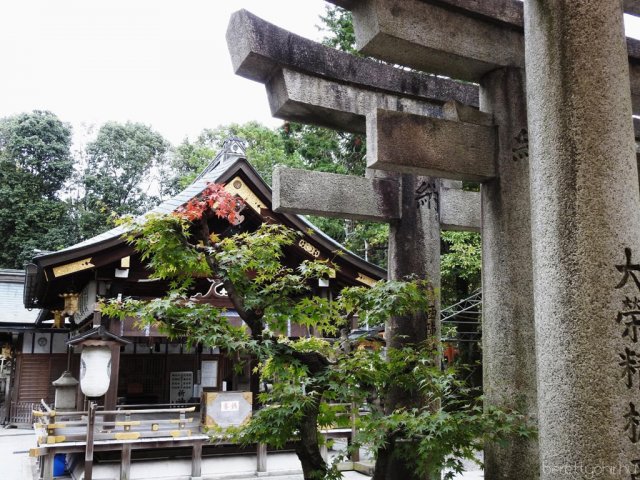 Egy álom valóra vált - Seba Japánban 28